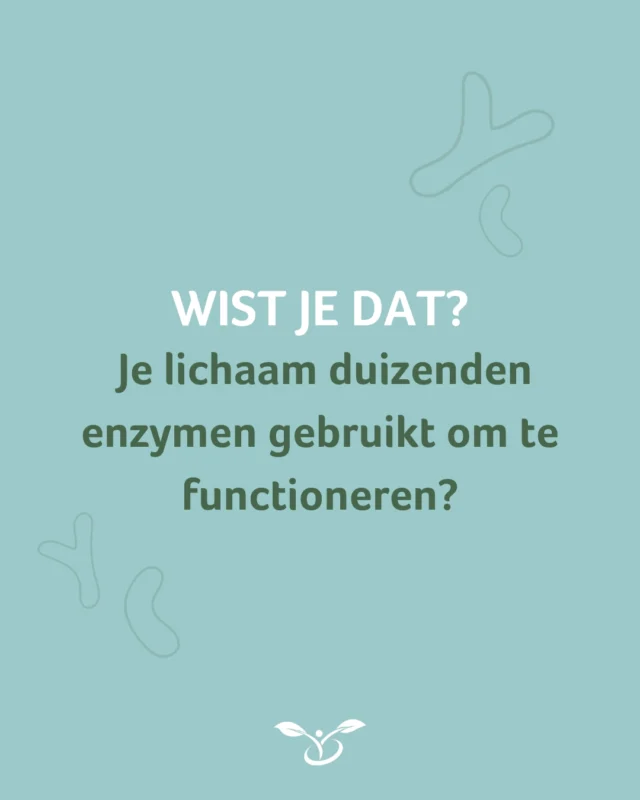Wist je dat je lichaam duizenden enzymen gebruikt om te functioneren?
🥦 Ze breken je eten af
⚡ Geven je energie
💪 Helpen bij herstel

Zonder enzymen zouden simpele dingen zoals ademhalen en bewegen niet kunnen.

Kies voor de VLife Xtreme Sports probiotica met enzymen om de gezondheid van je lichaam en spieren te bevorderen. 🏃‍♂️💚

Hoe ondersteun jij je lichaam als je (veel) sport? Laat het ons weten in de reacties. 👇