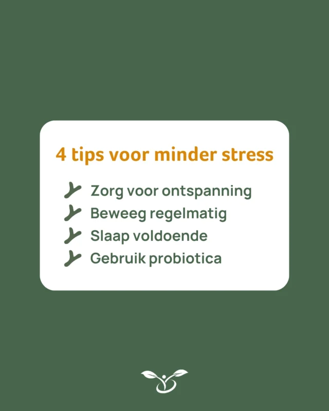 Je buik voelt alles, ook je stressniveau. Langdurige stress kan invloed hebben op je darmflora en je spijsvertering. 

Gun je lichaam én darmen rust. Ze zorgen tenslotte elke dag voor jou. 💚

Tips om stress te verminderen:
🧘🏼‍♀️ Maak dagelijks tijd voor ontspanning
🚴🏼‍♀️ Beweeg regelmatig, ook licht bewegen helpt al
🛏️ Slaap voldoende en op vaste tijden
💊 Gebruik probiotica als dagelijkse ondersteuning

Deel jouw tips om stress te verminderen hieronder! 👇🏼

#probiotica #probiotics #immunity #gezondheid #mentalegezondheid #leefstijl #gezondeleefstijl #vital #vlife #vrouwen #senioren #tieners #workout #extremesport #fitness #immuunsysteem #metabolismbooster #microbiome #microbiomehealth #microbioom #gezondleven #darmflora #stress #stressklachten #stressverminderen #ontspanning #ademhaling #yoga #beweging